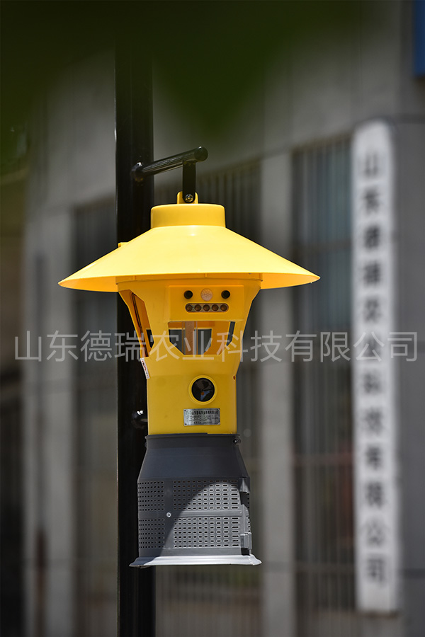 可以看那种直播的APP软件大全 可以看那种直播的APP软件大全